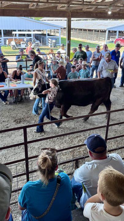 Market animal sale rewards young exhibitors